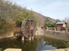 -石老人观光园