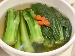 上汤菜心-池记(尖沙咀店)