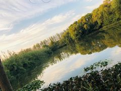 -溱湖国家湿地公园