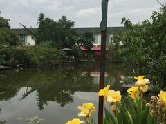 -洪湖家庭农场·团建·露营·会议