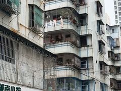 -普宁反沙番薯芋头
