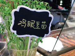 -饵块食光·云南有机手作饵块