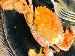 -悦巷海鲜自助铁板烧(秦皇东大街店)