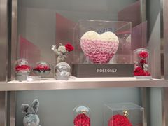 -ROSEONLY诺誓(广州K11店)
