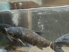 -上名堂·鱼头好吃(体育场路店)