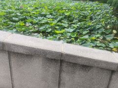 -西南交通大学(九里校区)