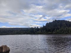 -五营红松林海景区