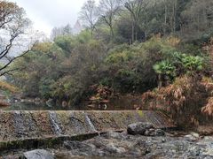 -黄山翡翠谷景区