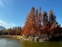 -国家植物园南园