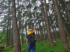 -硗碛藏寨·神木垒景区