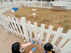 -前小桔亲子创意农场·草莓采摘·露营烧烤