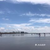 足不出沪的免费海滩 遛娃好去处