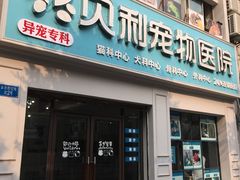 -贝利宠物医院·骨科·眼科·肿瘤转诊中心(南坪诊疗中心)