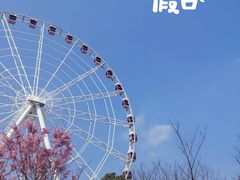 -顾村公园