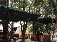 -刘记古镇羊肉汤