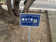 -内蒙古将军衙署博物院