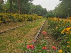 -永定河休闲森林公园