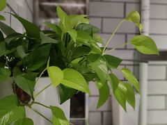 -RWORK·COFFEE(滨江店)