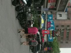 android_upload_pic-曲阳花鸟市场(曲阳路店)