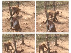 -南京金牛湖风景区