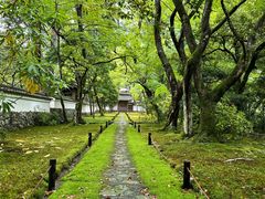-西芳寺(苔寺)