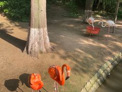 -西霞口神雕山野生动物世界