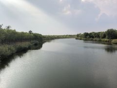-西青郊野公园