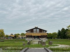 -宁波杭州湾国家湿地公园