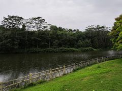 -大屏嶂森林公园