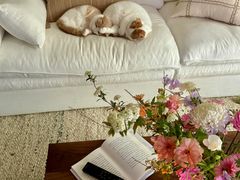 -住范儿家装·整体家装·装修设计