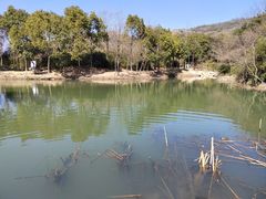 -白马涧龙池景区