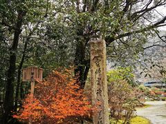 -醍醐寺