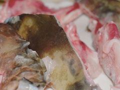 -源港渔村-中山脆肉鲩(博罗店)