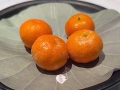-苏帮袁Sue Cuisine(将台店)