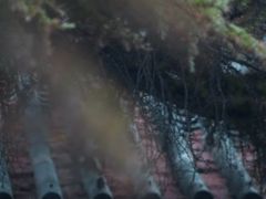 -汝州市汝瓷博物馆