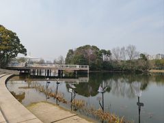 -新江湾城公园