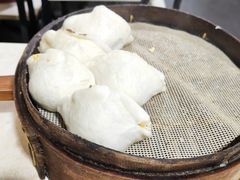 -马大刚白记包子