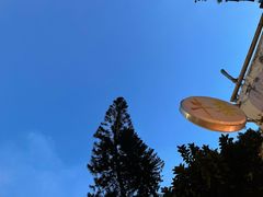 -牛杂大叔(园岭总店)