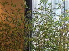 -同湘会馆(粤垦路店)