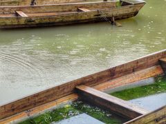 -深圳仙湖植物园