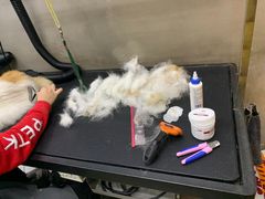 -PETKIT小佩宠物·低压洗护(国顺东路店)