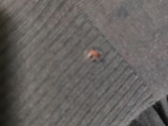 -曹树华专业无痕织补