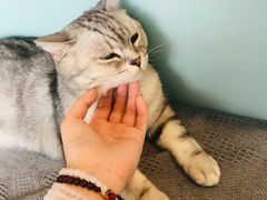 -平行世界·猫咖(首经贸店)