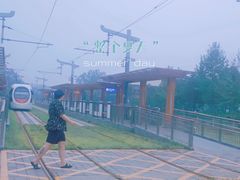 -皇家御河游(紫御湾码头)