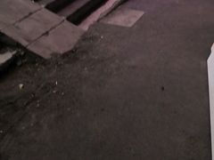 -朝族高丽火盆(长白山总店)