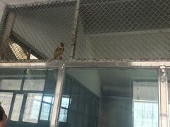-哈尔滨北方森林动物园