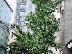 -徐家汇源景区-衡山坊