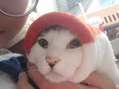 -达爱动物医院·犬猫分区·CT·复杂眼科(远洋山水分院)