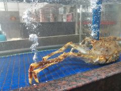 -喜相逢海鲜美食城(五邑平价农副产品批发市场店)