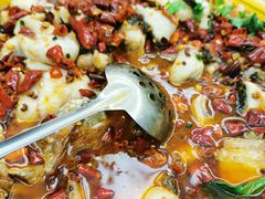 麻麻鱼-关中品道